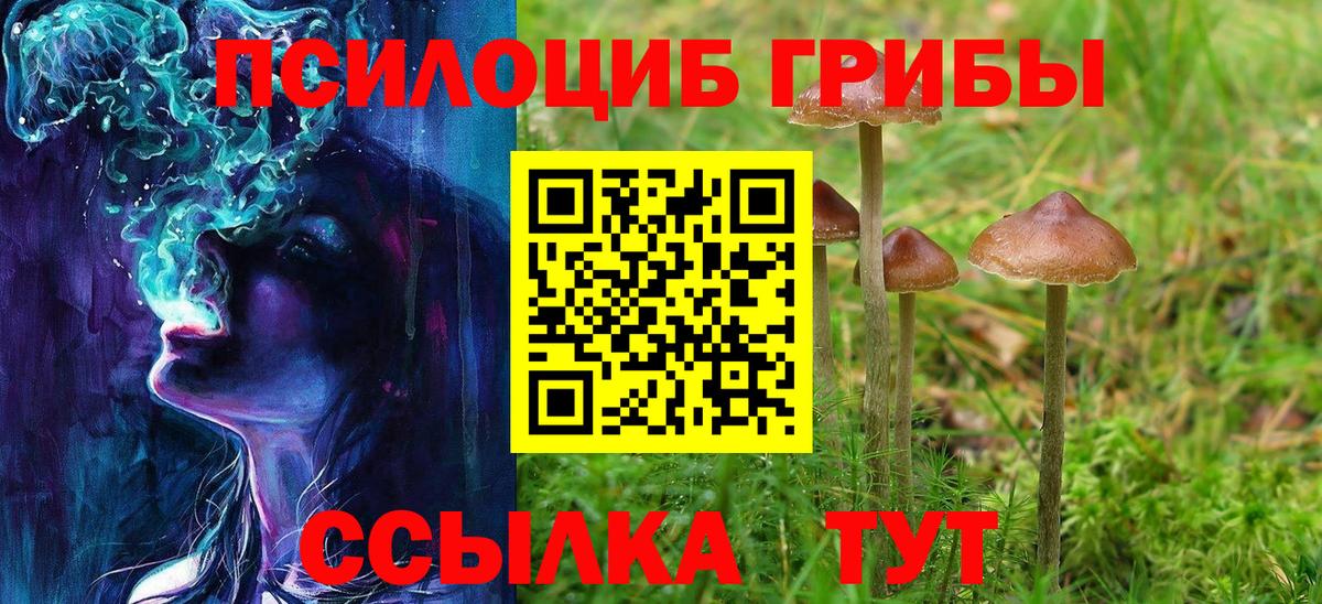 Родники  Псилоцибиновые грибы Magic Shrooms  Вход с VPN  Галлюциногенные грибы прущие грибы 