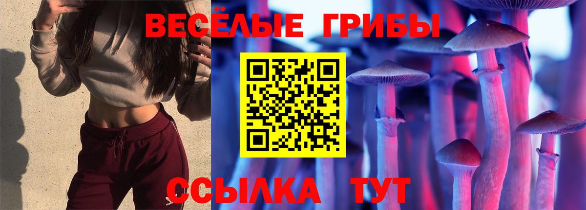 Галлюциногенные грибы прущие грибы Родники