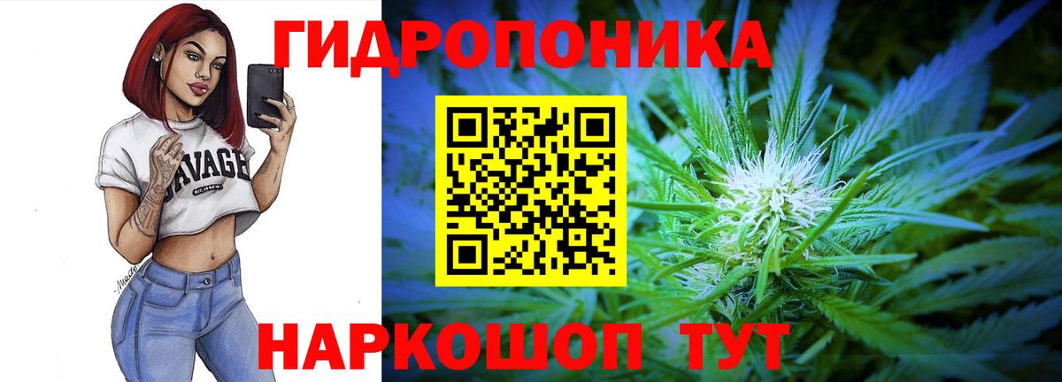 Конопля Amnesia Родники